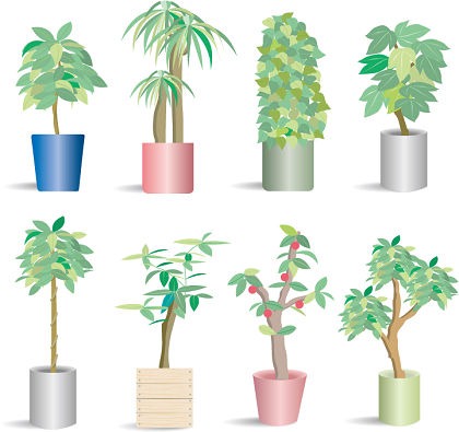 66 Potted Plants Vector