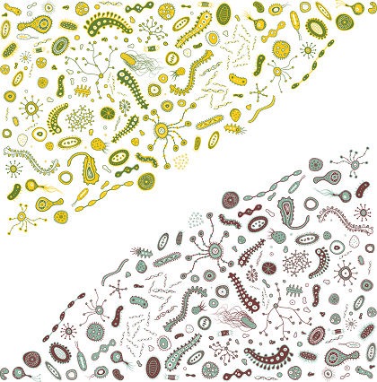 Free Bacteria Vector Graphic