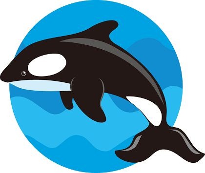 Cute Whale Vector