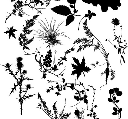 Free Various Plant Silhouett Vector