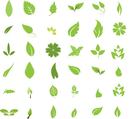 Free Vector Leaves