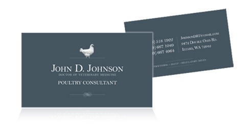 Excellent business card design Show (46)