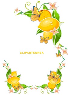 Flowers, fruit and butterfly lace Vector material (6)