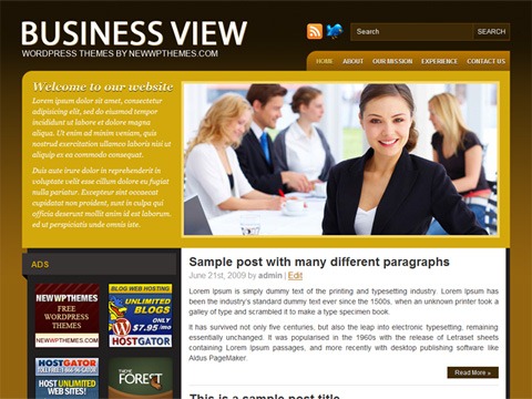 Free WordPress Theme - Business View preview