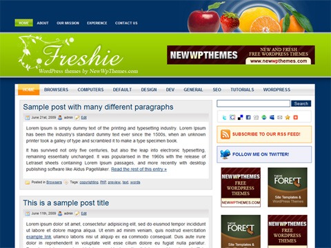 Free WordPress Theme - Freshie Preview