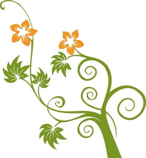 Flowers and Swirls Vector Graphic Preview