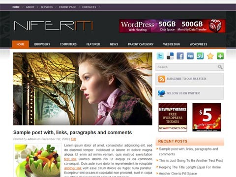 Free WordPress Theme - Niferiti Preview