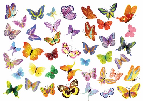 Vector Set of Butterflies Decoration