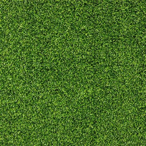 Beautiful Green Grass Texture Preview