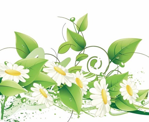 Elegant Floral Vector Background