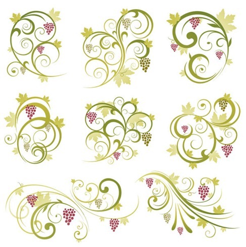 Abstract-Floral-Vine-Grape-Ornament-Vector