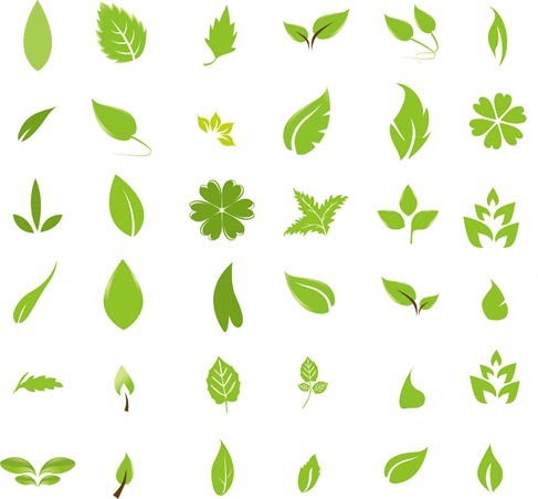 Green Leaf Design Elements