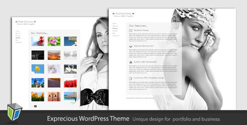 Exprecious WordPress Theme