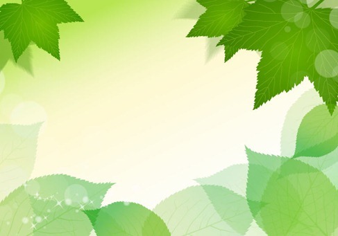 Spring Fresh Green Leaves Vector Illustration