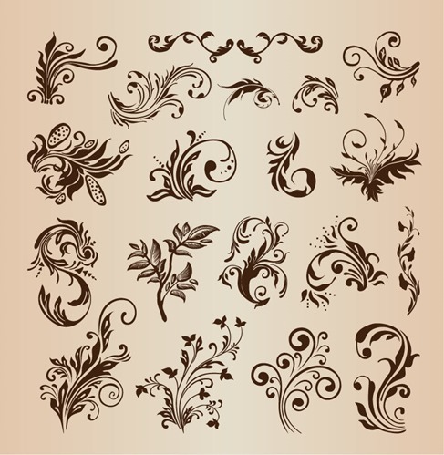 Beautiful Floral Elements for Design Vector Illustration Set