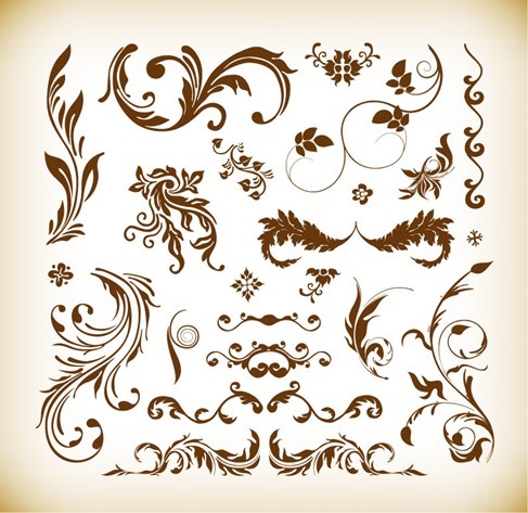 Various Floral Elements Vector Illustration Set