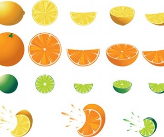 Free Citrus Fruit Vector