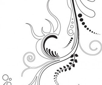 5 Floral Ornaments Vector Pack