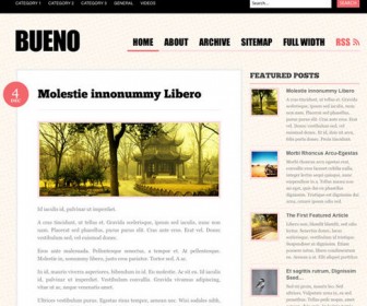 Free Wordpress Theme - Bueno