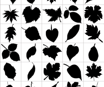 Leaf Silhouettes  - Free Vector Graphic