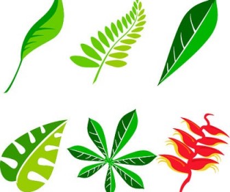 Free Leaf Vector Art Package