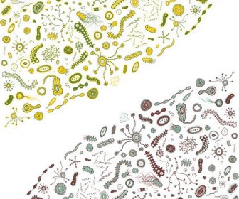 Free Bacteria Vector Graphic