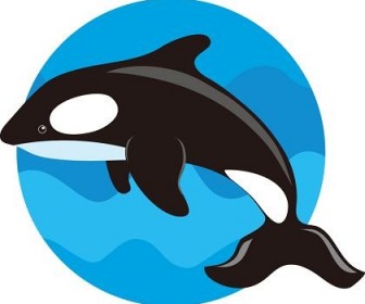 Cute Whale Vector