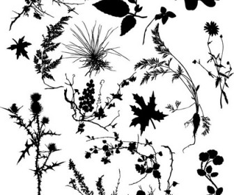 Free Various Plant Silhouett Vector