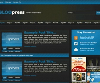 Free Wordpress Theme - Bloopress