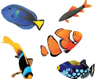 Free Vector Fishes