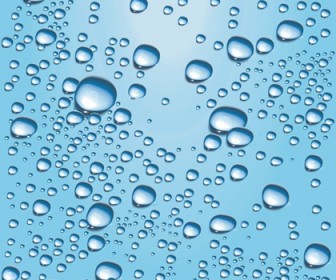 Free Water Vectors