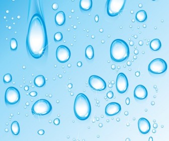 Free Water Vectors