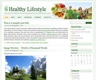 Free WordPress Theme - Healthy Lifestyle