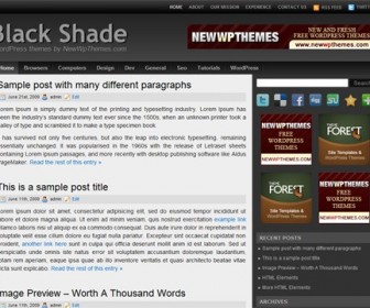 Free WordPress Theme - Black Shade