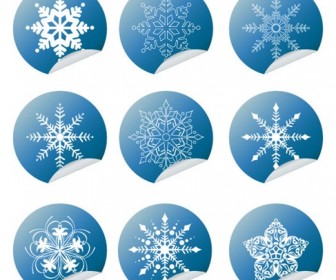 Snowflake Winter Set Vector