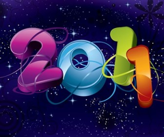 2011 New Year