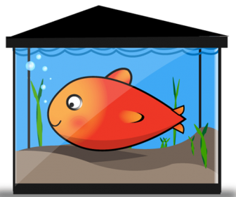 Free Vector Gold Fish Tank