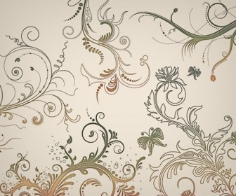 5 Floral Ornaments Vector