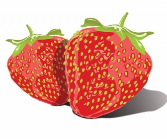 Free Vector Tasty Strawberries