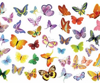 Free Vector Set of Butterflies Decoration