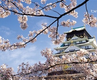 Bing's Best: Japan Windows 7 Theme