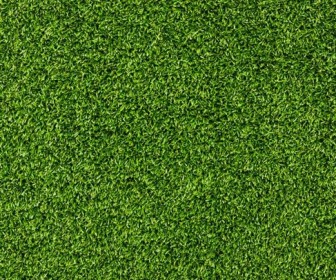 Beautiful Green Grass Texture