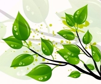 Abstract Green Leaves Vector Illustration