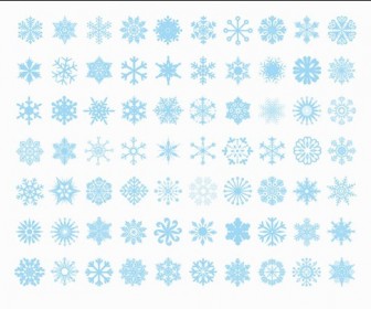 Big Set of Vector Snowflakes
