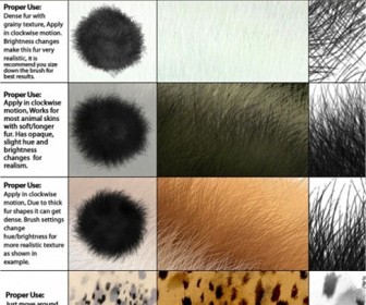 50 Awesome Photoshop Brushes