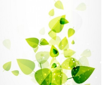 Abstract Green Leaves Vector Background