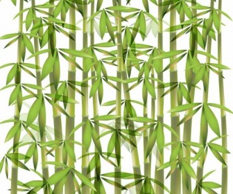 Bamboo Vector Illustration