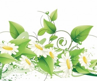 Elegant Floral Vector Background