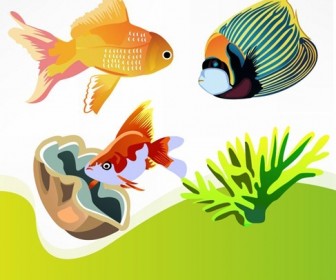 Free Vector Fish