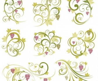 Abstract Floral Vine Grape Ornament Vector